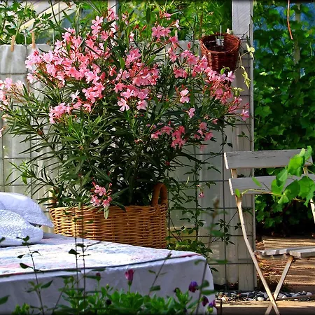 Bed & Breakfast Enghavegaardens *